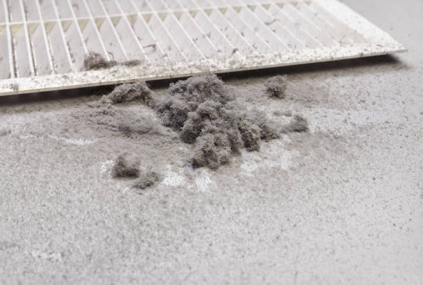 Ductwork Cleaning Services in Auburn Lake Trails, CA